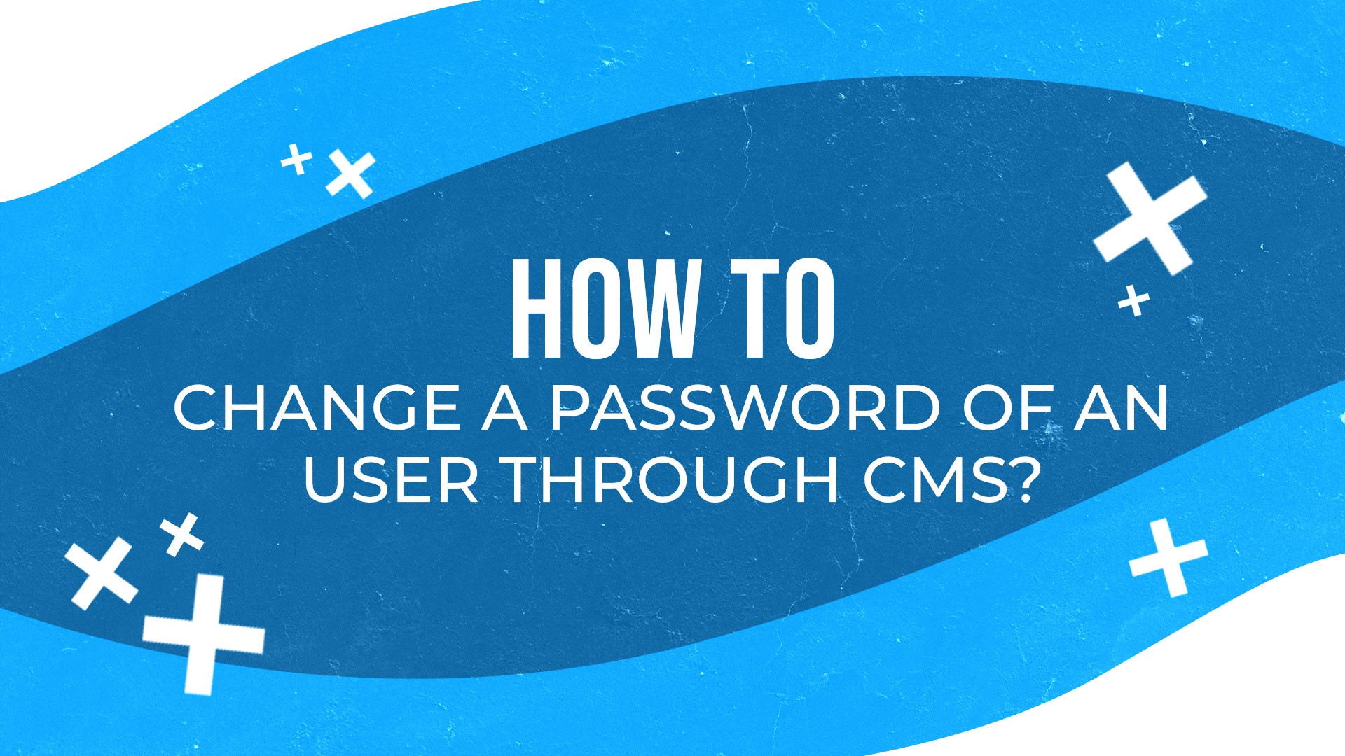 How to change a password of an user through CMS?